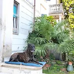 Mavipagi Verona