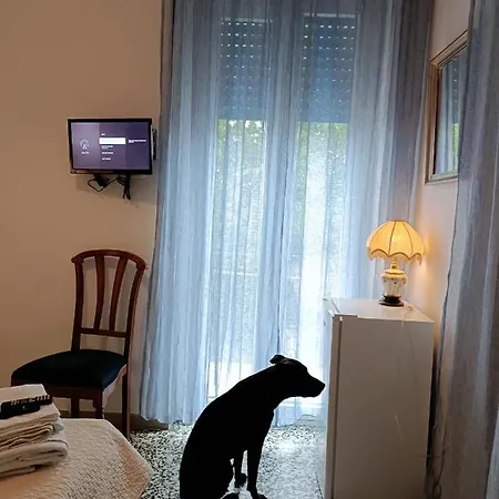 Mavipagi * Verona