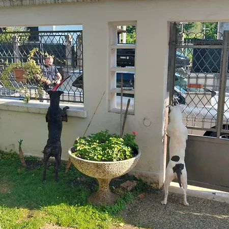 Mavipagi Apartment