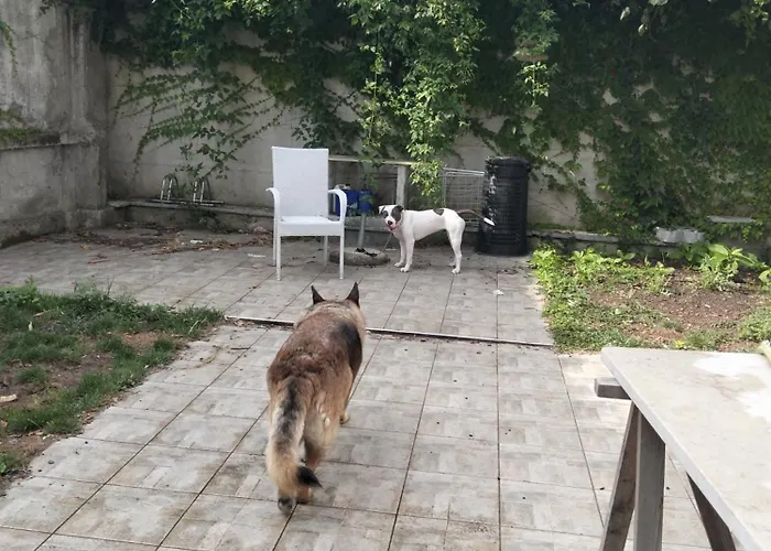 Lägenhet Mavipagi *