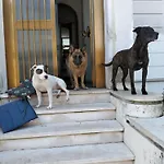 Mavipagi *