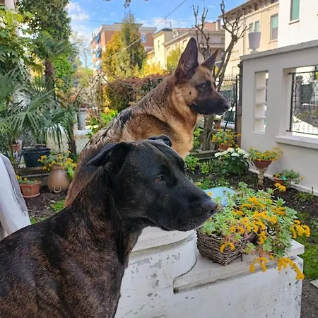 Mavipagi Apartamento *