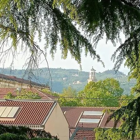 Mavipagi *