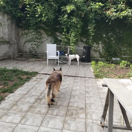 Apartmán Mavipagi *