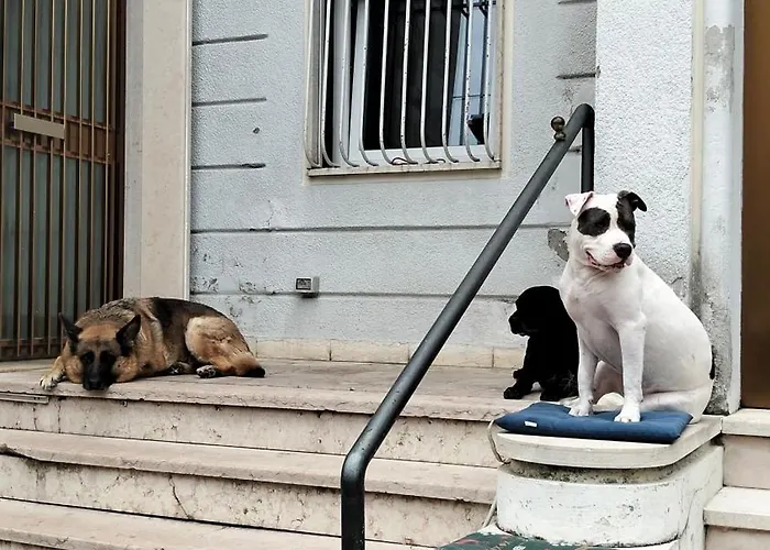 Mavipagi Appartement *