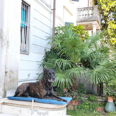 Mavipagi ורונה