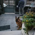 Mavipagi Apartamento